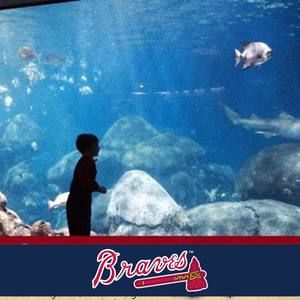 Meet your Posher, Melissa jane